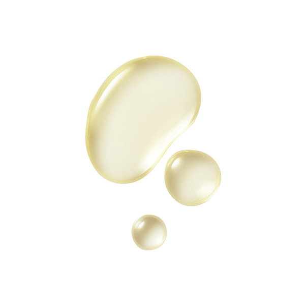 Cozy Retreat Ambre Vanille Collection